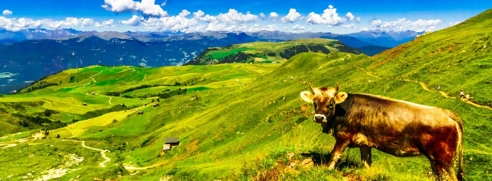 Südtirol schönste Wanderungen
