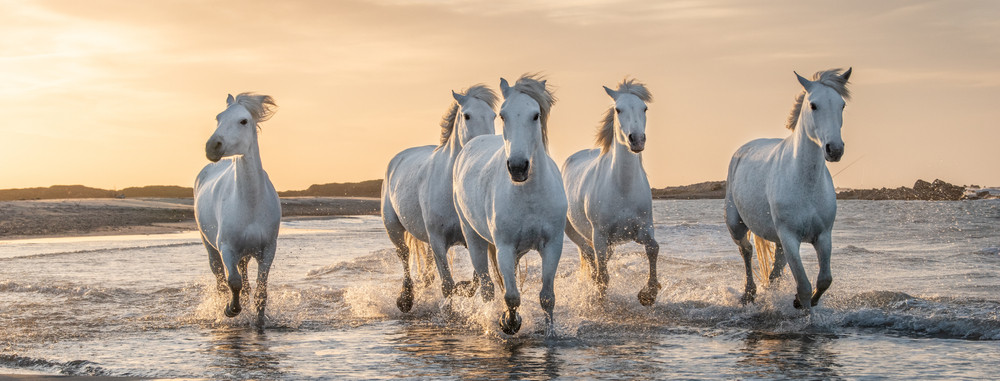 Camargue - Schönste Strände