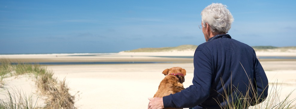 Niederlande Hundestrände Holland