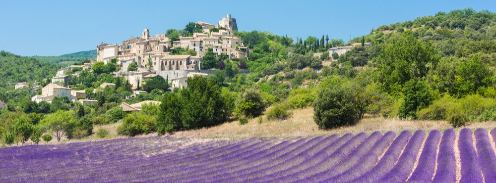 small town near lavender field