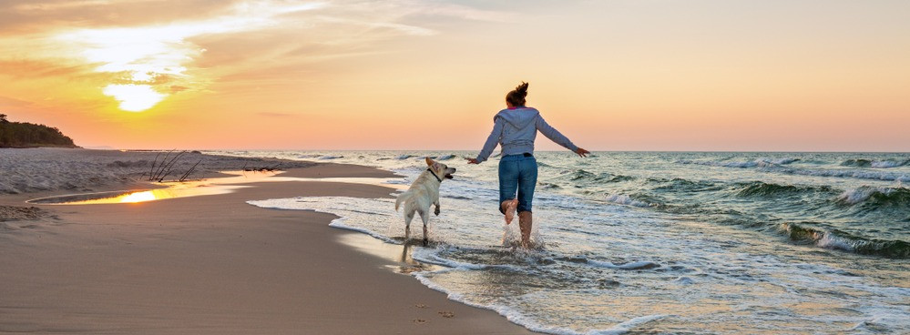 Ostsee beste Hundestrände
