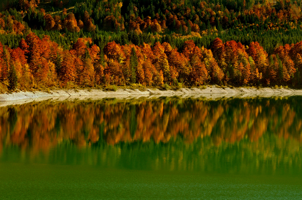 Sylvensteinsee im Herbst