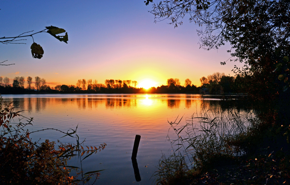 Haarlemmermeerse Bos