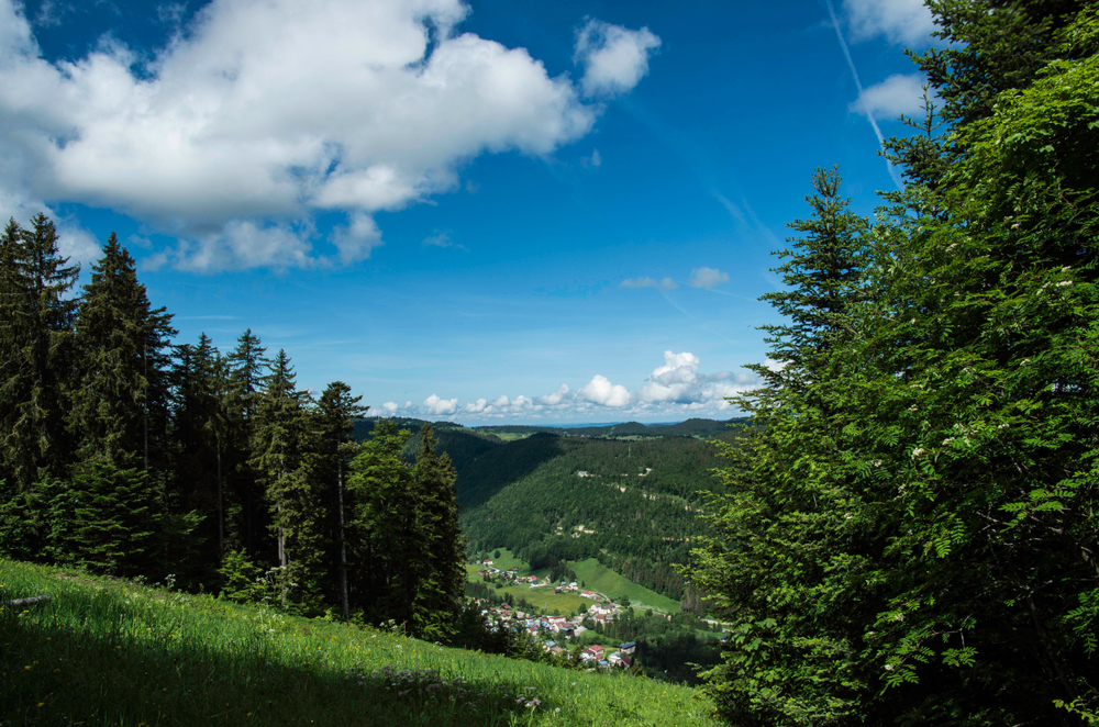 Col de la Faucille