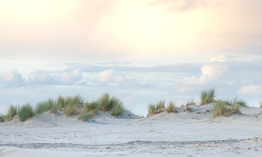 Borkum