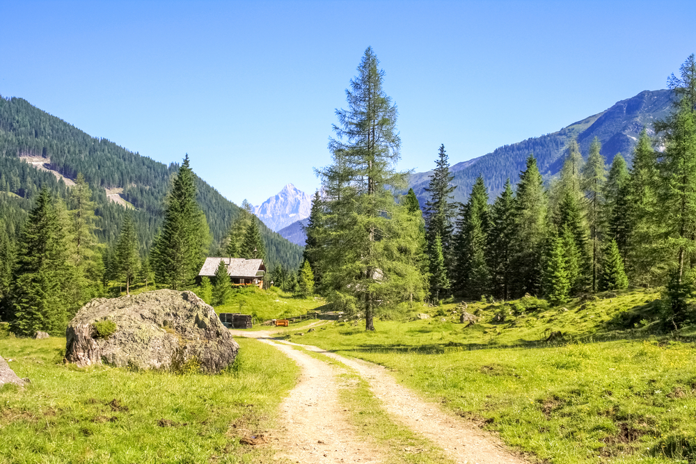 Alpen Wandern Pongau