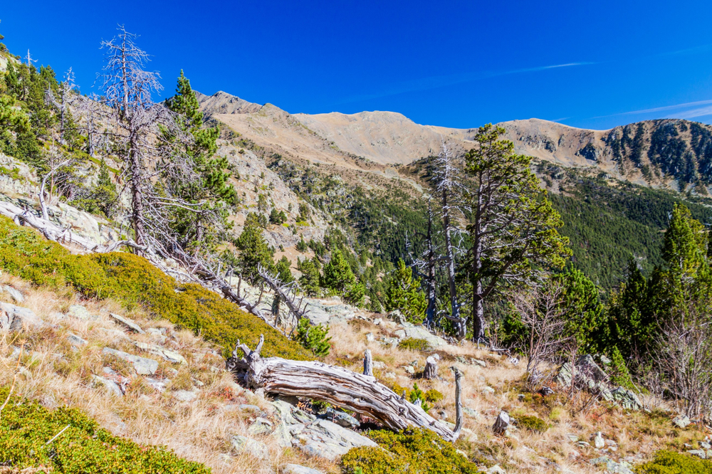 Comapedrosa Wanderung