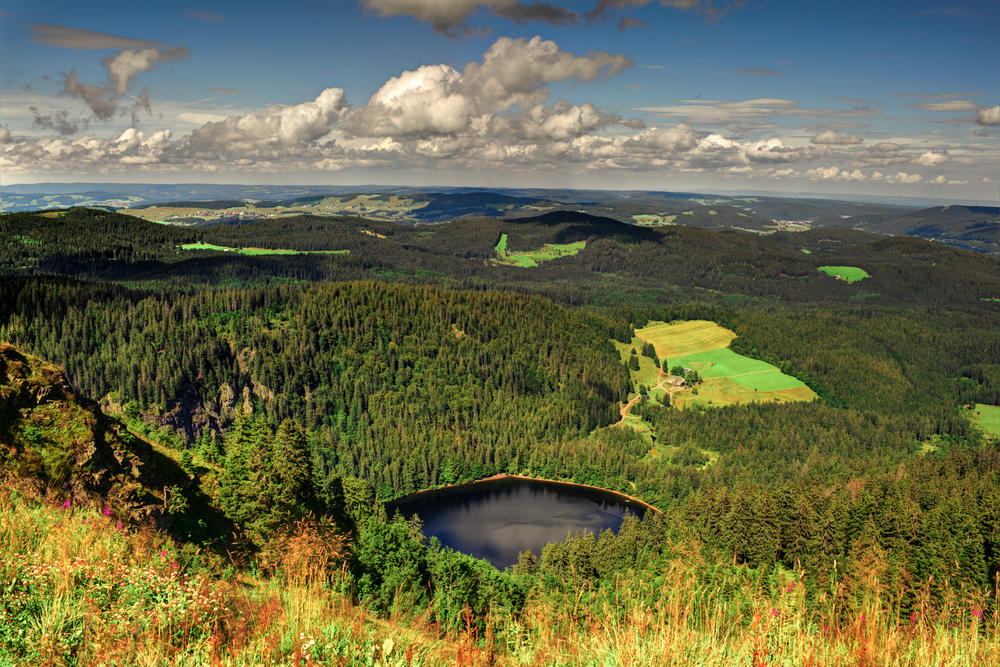 Schwarzwald Feldberg