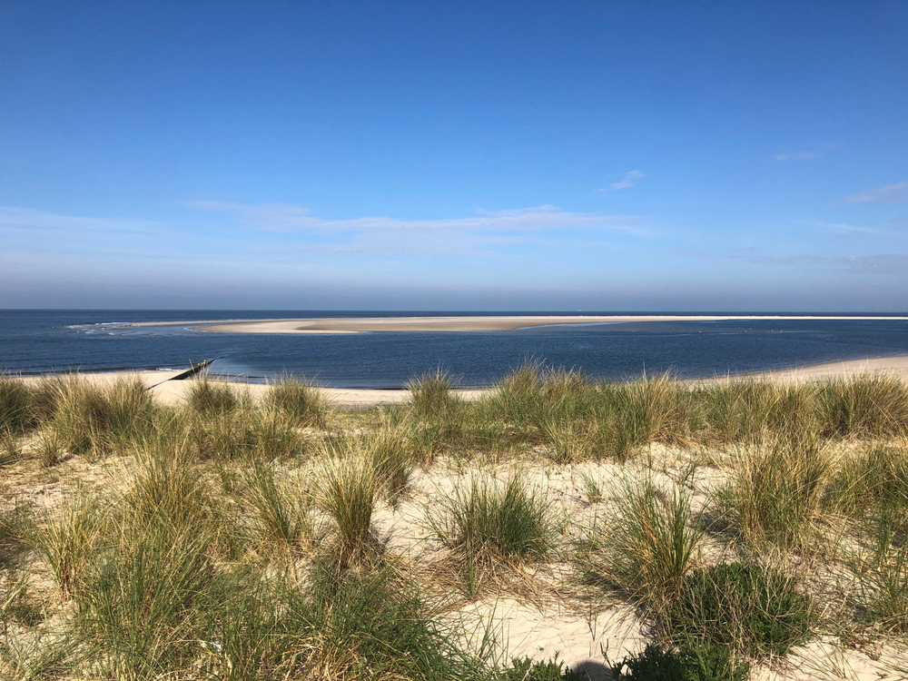 Borkum