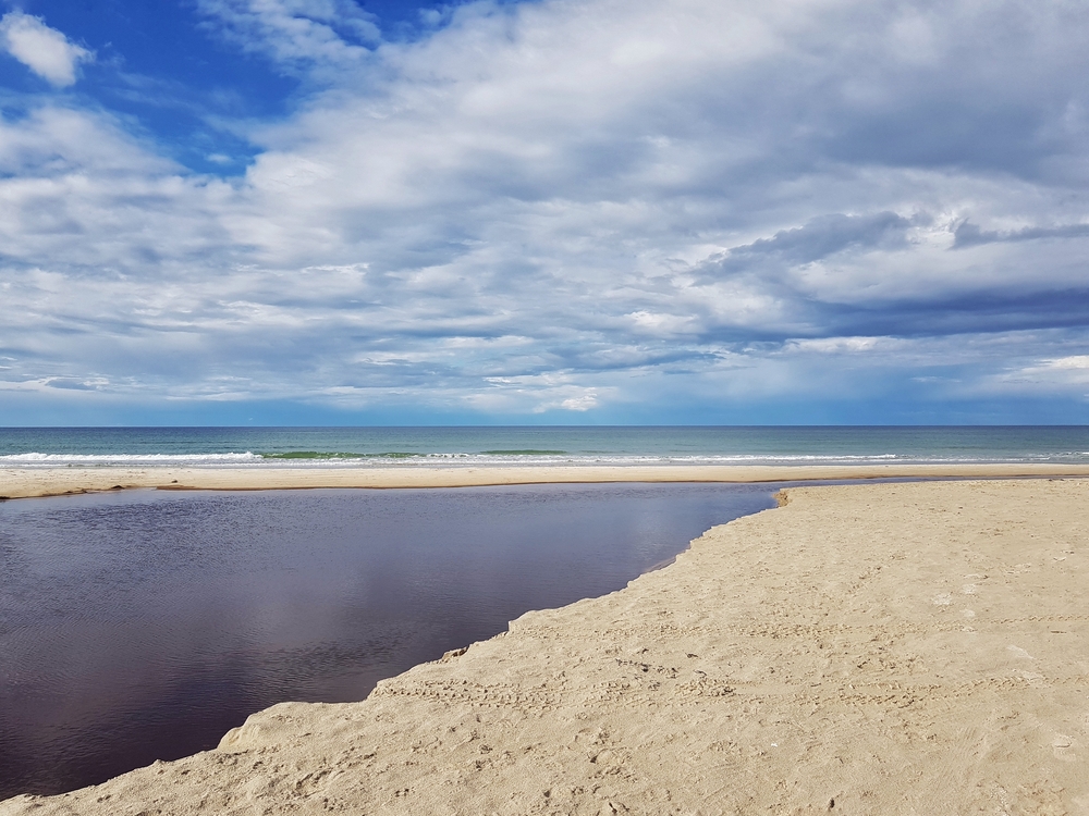 Saltum Strand