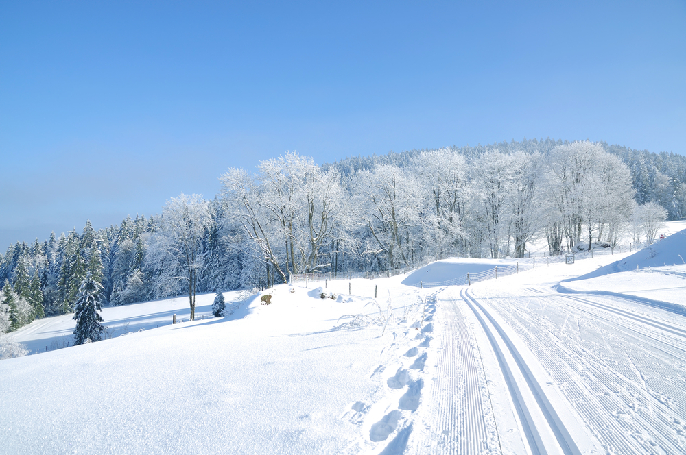 Langlauf Bodenmais Loipe