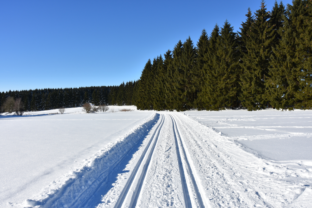 Langlauf Harz Loipe