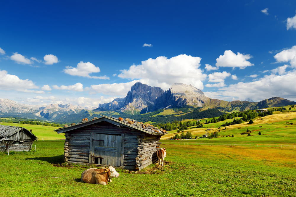 Dolomiten Seiser Alm