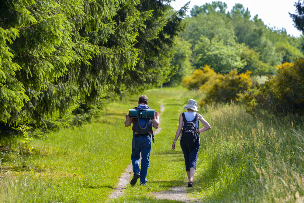 Eifel Ferienhaus Wandern