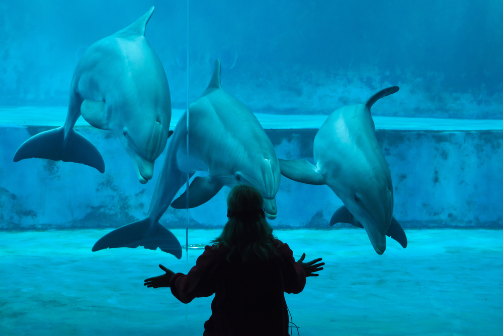 Acquario di Genova
