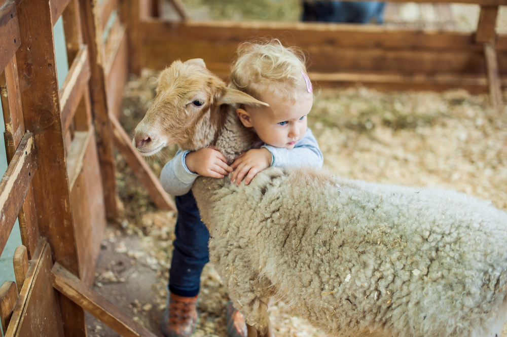 Familienurlaub Agriturismo mit Kindern