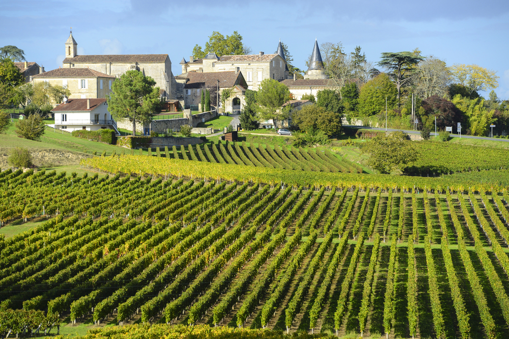 Weinberg Bordeaux