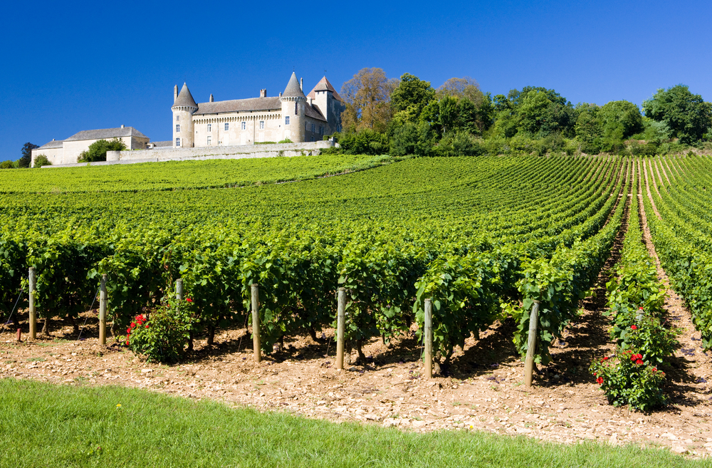 Wein Burgund