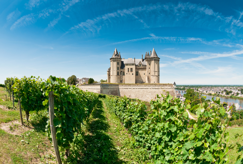 Weinberg Loire