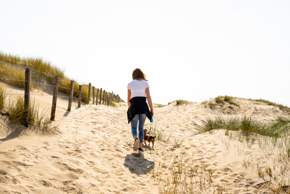 Hundestrand Wassenaar