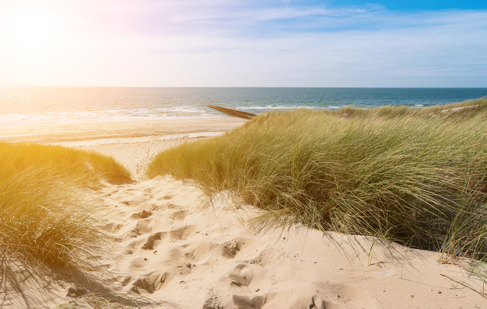 Renesse