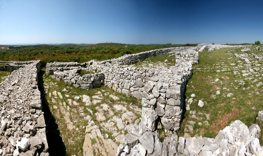 Monkodonja