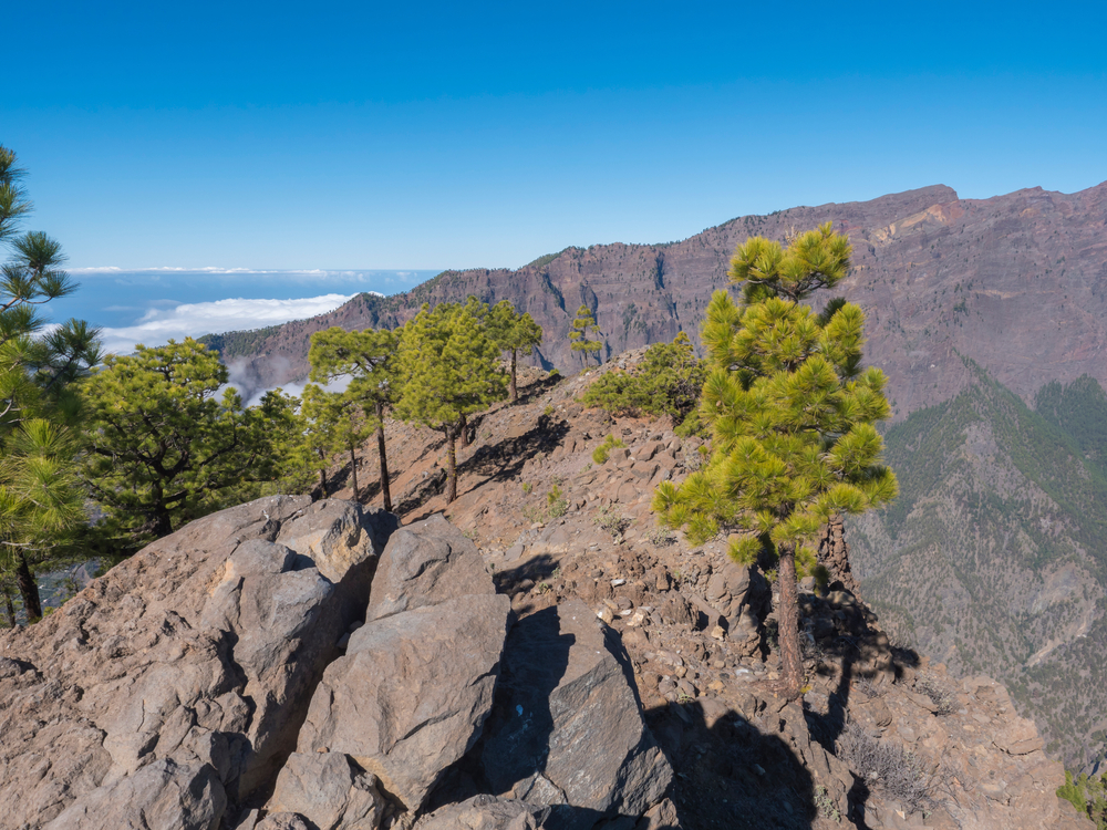 Pico Bejenado