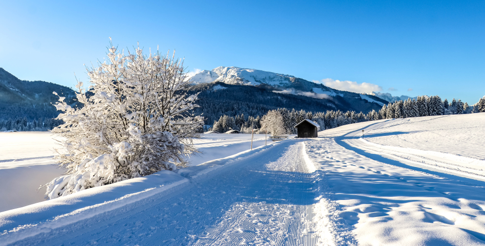 Langlauf Chiemgau Loipen