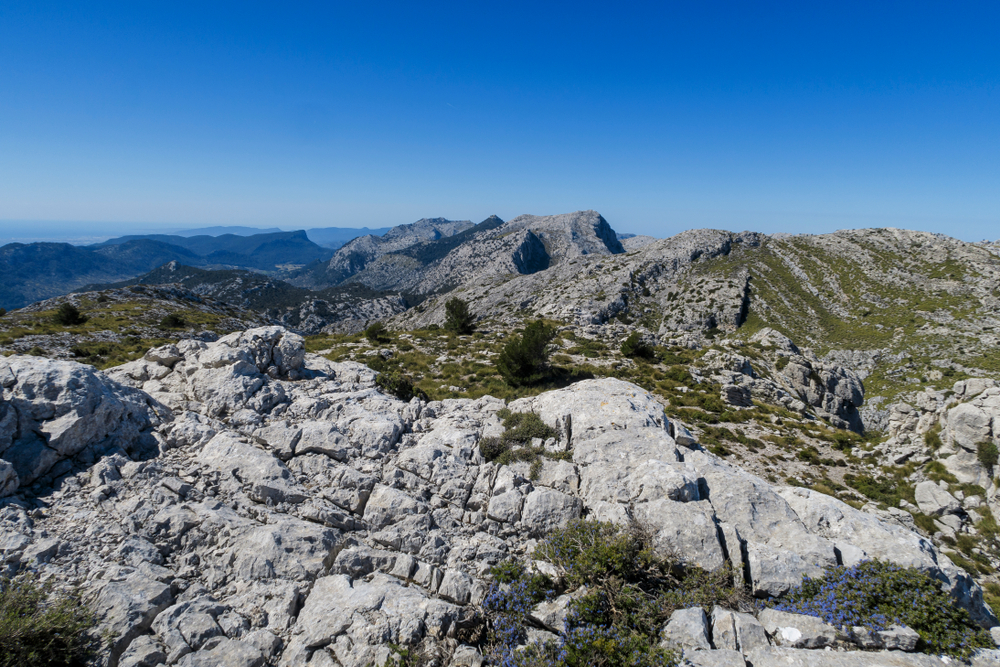 Puig de Tossals-Verds