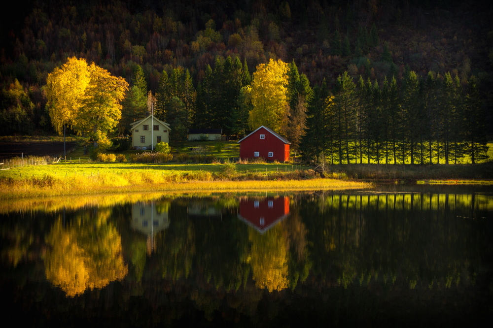 Nydammen See