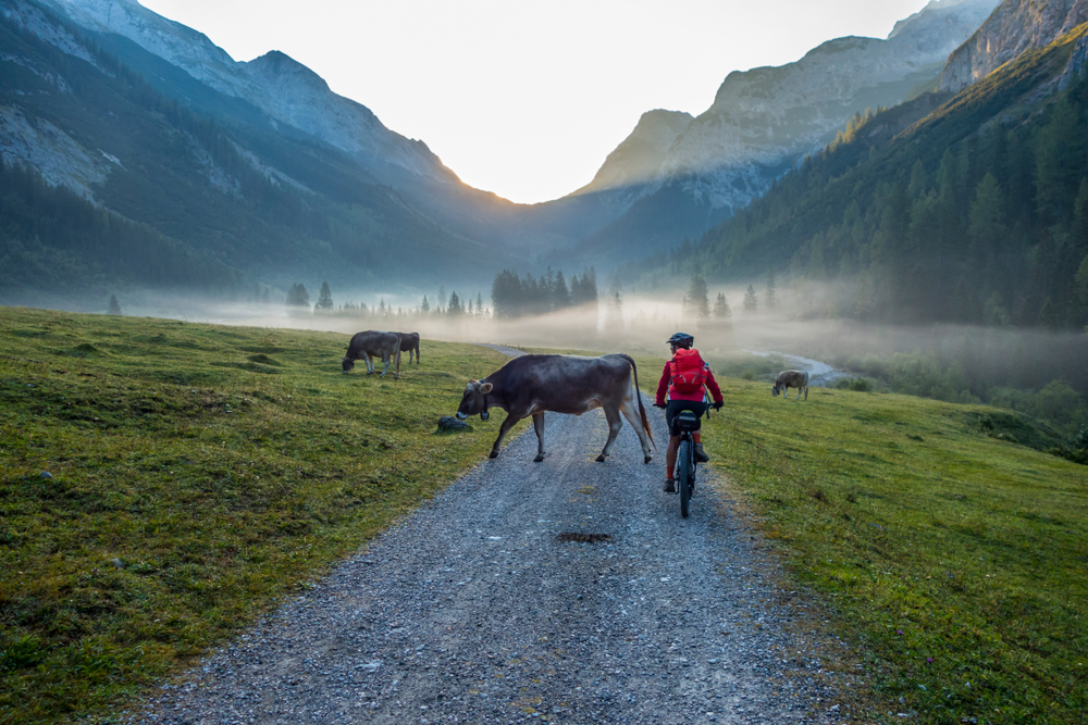 Mountainbike Karwendel Cross