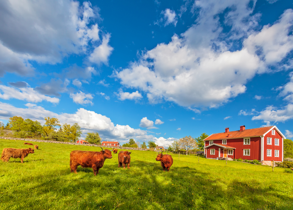 Schweden Süden Småland