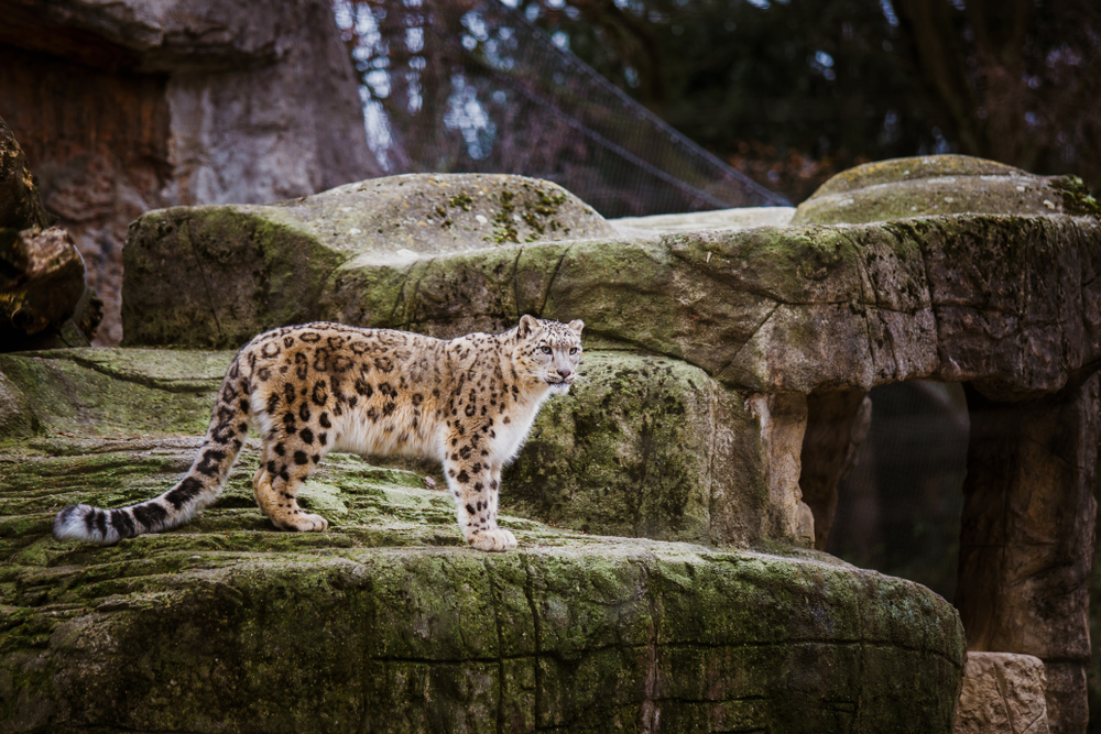 Zoo Basel mit Kindern