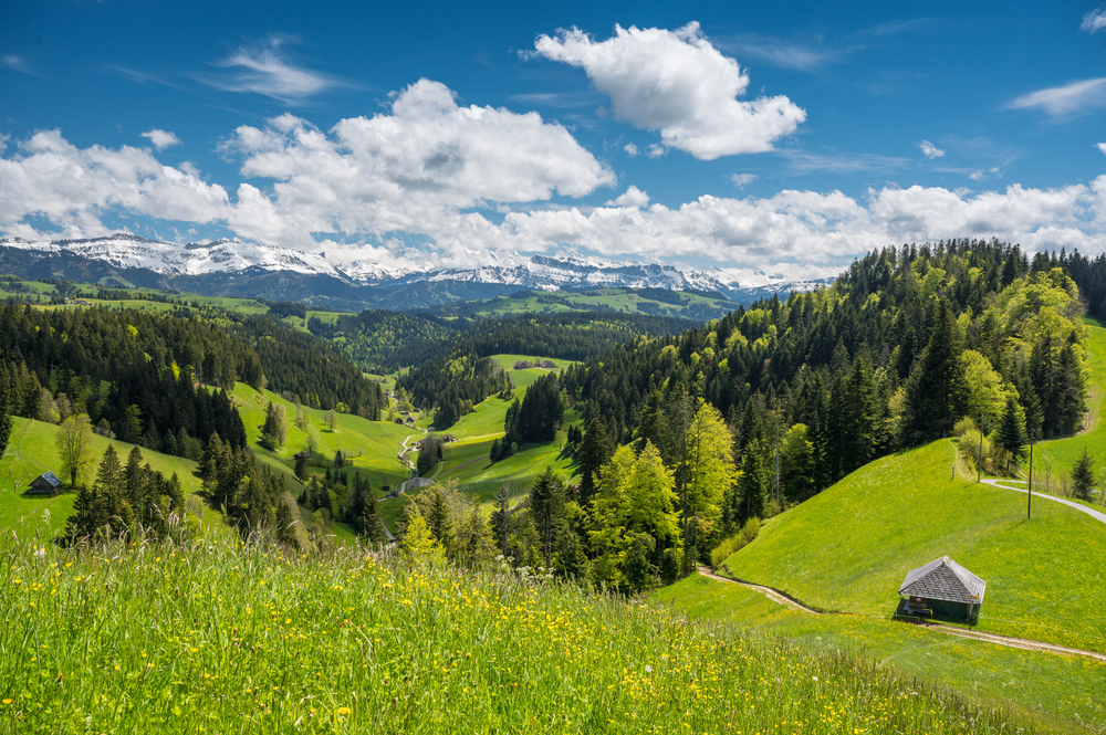 Schaukäserei Emmental