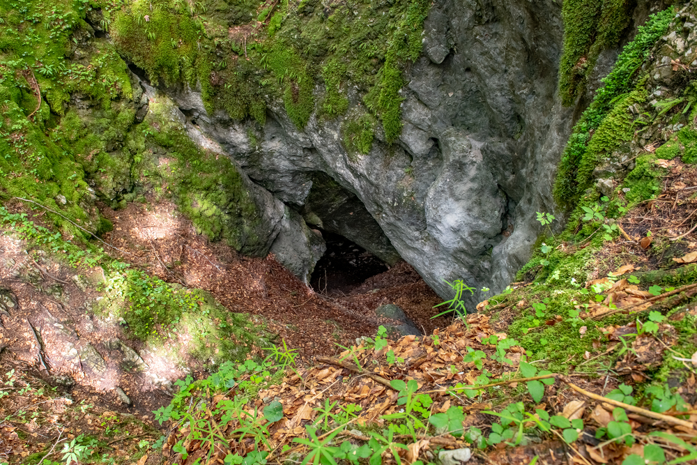 Snežna Jama Schneehöhle