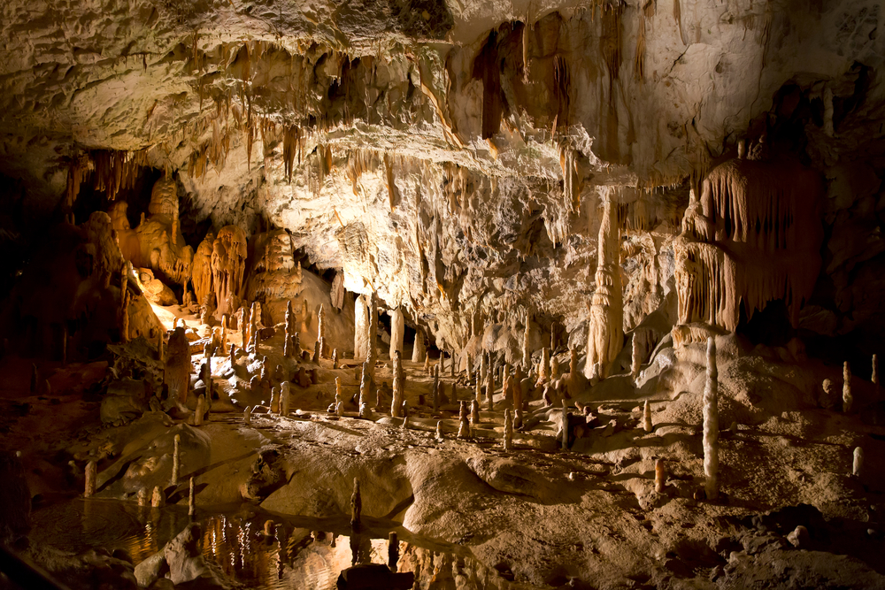 Adelsberger Grotte Tropsteinhöhle Postojna