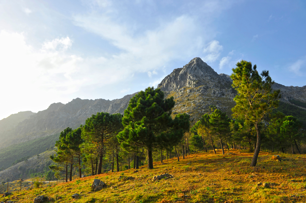 Sierra de Grazalema wandern