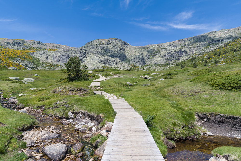 Peñalara