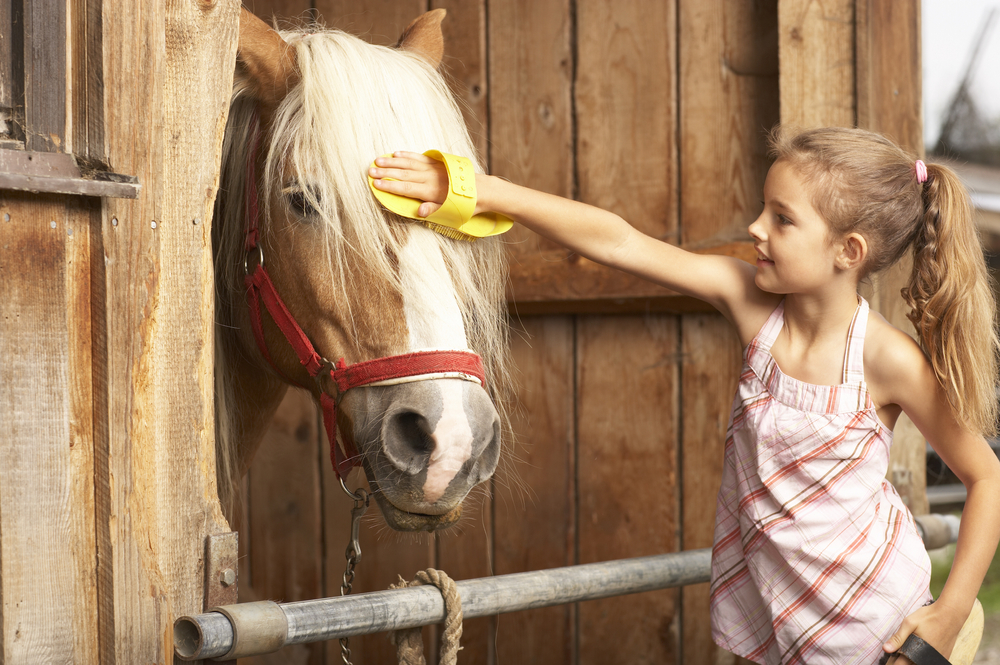 Südtirol Reiten für Kinder