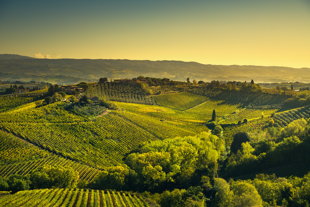 Chianti