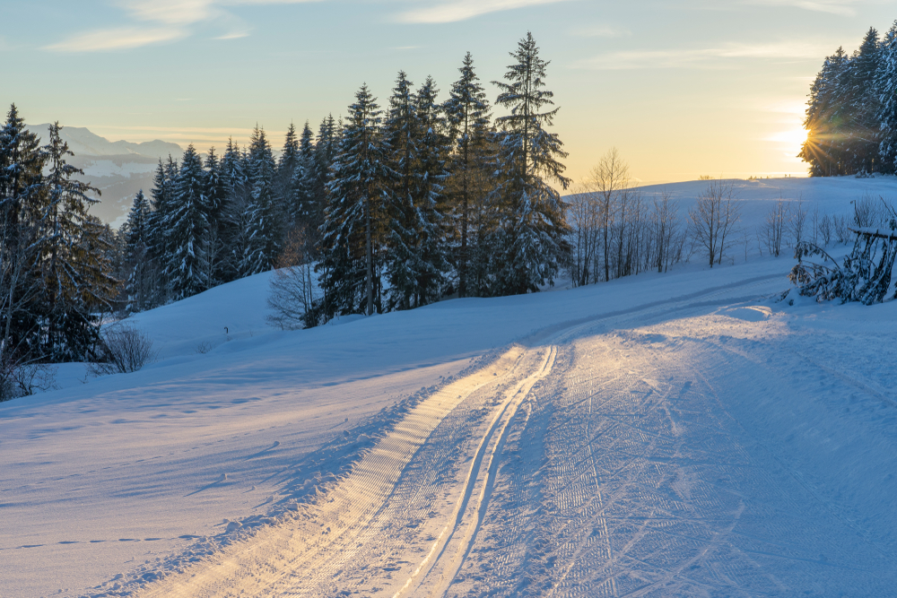 Langlauf Bregenzerwald Loipe